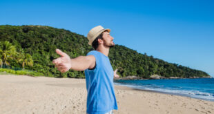 Stunning Tamarindo beach in Costa Rica with palm trees and clear blue ocean