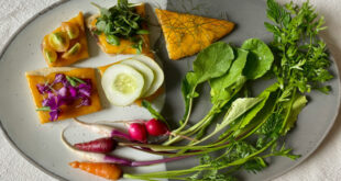 A vibrant platter showcasing a variety of delicious vegan food near me options, including a burger, salad, and pasta.