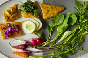 A vibrant platter showcasing a variety of delicious vegan food near me options, including a burger, salad, and pasta.