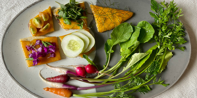A vibrant platter showcasing a variety of delicious vegan food near me options, including a burger, salad, and pasta.